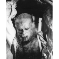 Curse of the Werewolf Oliver Reed Photo